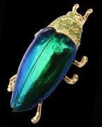 Robijn - Zilver, Emeraude - Broche van de Egyptische