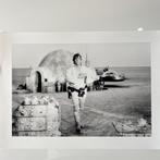 STAR WARS 1977 : Luke Skywalker (Mark Hamill) - Fine Art, Nieuw