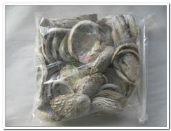Abalone Hal. Midae per kilo Abalone Hal. Midae per ki, Hobby en Vrije tijd, Knutselen, Nieuw, Ophalen of Verzenden