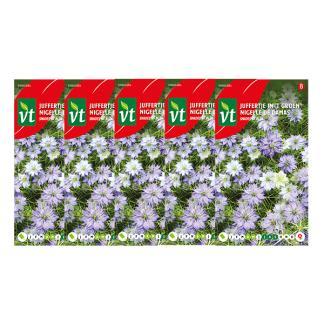 Bloemzaden juffertje in het groen | VT | 5 stuks, Tuin en Terras, Bloembollen en Zaden, Verzenden