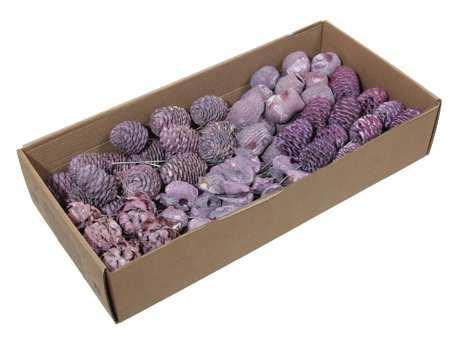 Leucodendron assortiment lila brombeer op draad doos 100, Huis en Inrichting, Woonaccessoires | Kunstplanten en Kunstbloemen, Nieuw