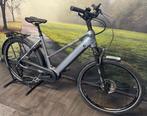 Falter E 6.0 500 – Nieuwe electrische fiets met Bosch Motor, Overige merken, Nieuw, Ophalen of Verzenden, 51 tot 55 cm