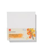 HEMA Canvasdoeken 280gsm 20x20 - 3 stuks, Hobby en Vrije tijd, Schilderen, Verzenden, Nieuw