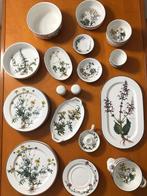Villeroy & Boch - Tafelservies (35) - Botanica - Porselein -, Antiek en Kunst