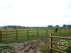 Paddock | Weide & afrastering | Incl. poort, palen, planken, Dieren en Toebehoren, Stalling en Weidegang, Weidegang, 4 paarden of pony's of meer
