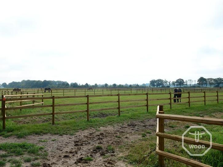 Paddock | Weide & afrastering | Incl. poort, palen, planken, Dieren en Toebehoren, Stalling en Weidegang, Opfok, Stalling, Weidegang