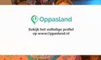 Rachelle zoekt een oppas in Babyloninbroek voor 1 kind., Vacatures, Vacatures | Klantenservice en Callcenter