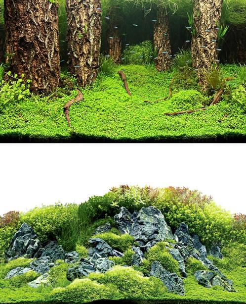 Osaka achterwandposter 651 50cm hoog - 31027, Dieren en Toebehoren, Vissen | Aquaria en Toebehoren, Sierelement, Nieuw, Ophalen of Verzenden