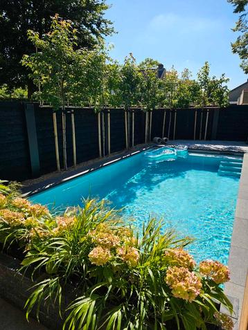 HDPE Zwembaden Plunge Pools op maat  zwembad beschikbaar voor biedingen