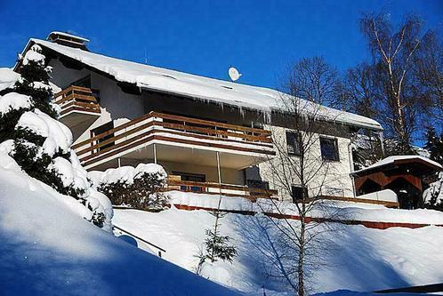 TOPLOCATIE VAKANTIEWONING WILLINGEN SAUERLAND, Vakantie, Vakantie | Wintersport