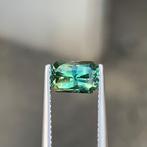 1 pcs Groen Saffier - 2.04 ct - nternational Colored, Sieraden, Tassen en Uiterlijk, Edelstenen, Nieuw
