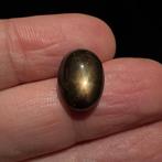 Zonder minimumprijs - 1 pcs Stersaffier - 8.42 ct - Geen