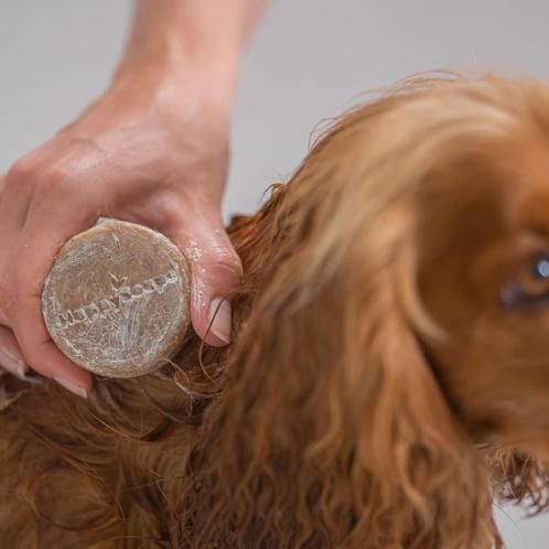 HappySoaps Honden Lange Vacht Shampoo Bar - 70g, Sieraden, Tassen en Uiterlijk, Uiterlijk | Haarverzorging, Shampoo of Conditioner