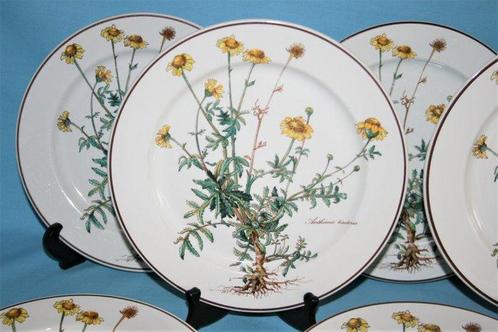 Villeroy & Boch - Bord (6) - Botanica - Vitro Porselein, Antiek en Kunst, Antiek | Meubels | Tafels
