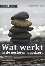 9789088503771 Wat werkt | Tweedehands, Verzenden, Zo goed als nieuw, Peter Van Der Helm