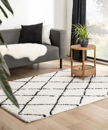 Hoogpolig Vloerkleed Shaggy MEGADEAL 40%! Gratis Verzending* beschikbaar voor biedingen