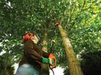 BLACK+DECKER PS7525-QS Takkenzaag - 800W - 25cm - gesnoerd, Tuin en Terras, Hand-tuingereedschap, Verzenden, Zo goed als nieuw