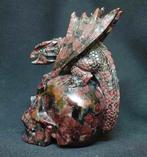 Draakbeeld op schedel, met de hand gegraveerd in, Verzamelen, Mineralen en Fossielen