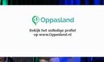 Ik ben Lenz, 17 jaar oud en ik zoek oppaswerk in Zoetermeer., Nieuw