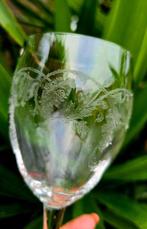 Drinkservies (6) - Drappeggi floreali - Kristal, Wijn -
