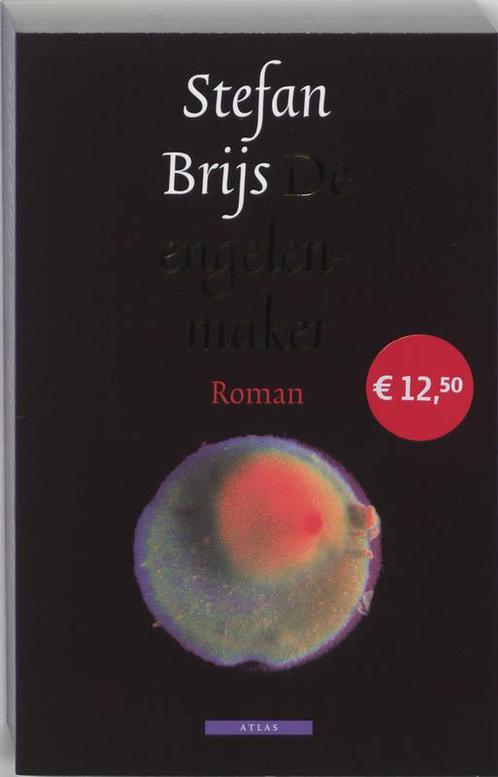 De engelenmaker 9789045005300 Stefan Brijs, Boeken, Romans, Gelezen, Verzenden