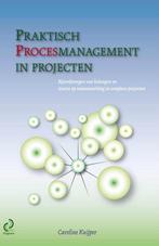 9789491490019 The Project House 2 -   Praktisch procesman..., Boeken, Verzenden, Zo goed als nieuw, Caroline Kuijper