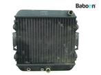 Radiateur Kawasaki ZL 600 Eliminator 1986-1987 (ZL600, Motoren, Onderdelen | Kawasaki, Gebruikt