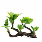 Kunstplanten op hout OS-226 - aquarium decoratie, Ophalen of Verzenden, Nieuw, Sierelement