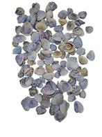 Tiger Chippy Schelpen Blauw 500 gram, Ophalen of Verzenden, Nieuw