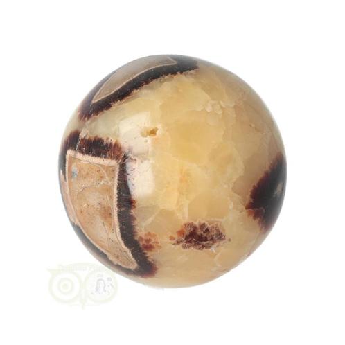 Septarie Bol Nr 23 - Ø 5.46 cm - 231 gram, Sieraden, Tassen en Uiterlijk, Edelstenen, Nieuw, Verzenden
