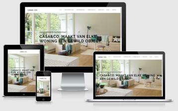 Een professionele Wordpress website of webshop laten maken?