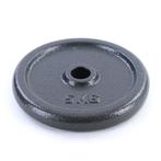 Gietijzeren halterschijven 2x 10 kg - 27 mm naaf, 25,5 cm..., Sport en Fitness, Fitnessmaterialen, Ophalen of Verzenden, Nieuw