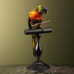 Lori van de Blauwe Bergen Taxidermie Opgezette Dieren By Max, Ophalen of Verzenden, Nieuw, Vogel, Opgezet dier