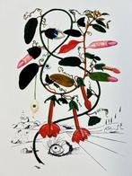 Salvador Dali (1904-1989) - Flora Sensuale, Antiek en Kunst