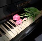 Fel Roze “nep tulpen die echt lijken”, Huis en Inrichting, Woonaccessoires | Kunstplanten en Kunstbloemen, Nieuw, Ophalen of Verzenden