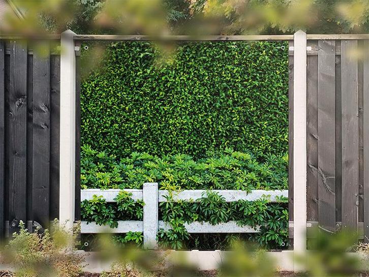 NR 1405: Tuinposter Hedera met hek 180x180cm, Tuin en Terras, Tuinwanddecoratie, Nieuw