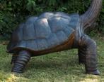 Bronzen Levensgrote Bronzen Galapagos - Schildpad - Reptiel, Tuin en Terras, Tuinbeelden, Verzenden, Nieuw, Metaal, Dierenbeeld