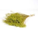 Broom bloom Groen bos ca. 100 gram, Huis en Inrichting, Ophalen of Verzenden, Nieuw
