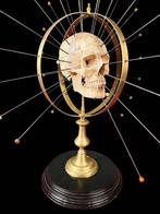 Medisch instrument - Messing, Hout, Staal, Composiet -