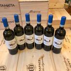 2022 Teruzzi, Riserva Sant’Elena - Toscane - 6 Flessen (0.75, Verzamelen, Nieuw