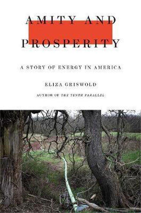 Amity and Prosperity 9780374103118 Eliza Griswold, Boeken, Taal | Engels, Zo goed als nieuw, Verzenden