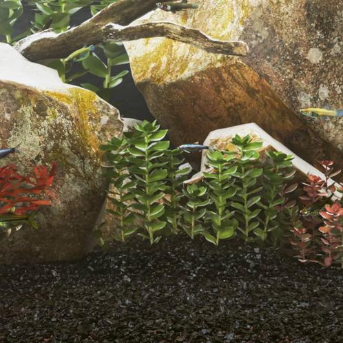 vidaXL Aquariumzand 10 kg 0,2-2 mm zwart, Dieren en Toebehoren, Overige Dieren-accessoires, Nieuw, Verzenden