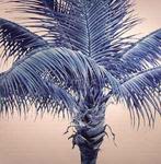 lp nieuw - Famy - We Fam Econo, Verzenden, Zo goed als nieuw