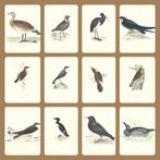 F.O. Morris/Alexander Lydon/Benjamin Fawcett - A History of, Antiek en Kunst