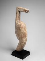 Vogel - Aklama - Ada - Ghana