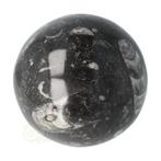 Orthoceras Fossiel Bol Nr 11 - Ø 8.71 cm - 927 gram, Verzenden, Nieuw