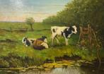 Goedhart (XX-XIX) - Koeien in de wei