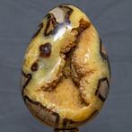 Septaria Wild Yellow Crystals Fine Large Wild Septaria, Verzamelen, Mineralen en Fossielen