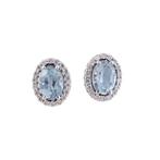 Zonder Minimumprijs - Oorbellen - 14 karaat Witgoud Topaas -, Nieuw