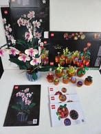 Lego Set - Icons - Botanical Collection Orchid (10311) +, Kinderen en Baby's, Speelgoed | Duplo en Lego, Nieuw